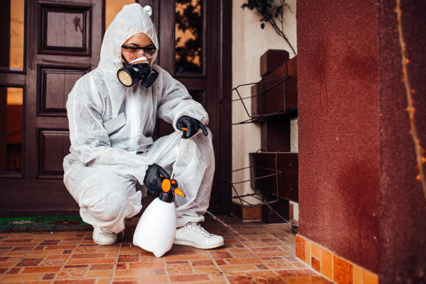 Reliable Bed Bug Control contractor in Shaw Heights, CO by Nex Pest Control